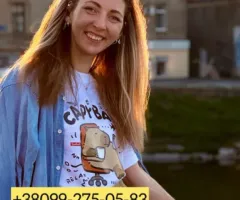 Репетитор англійська |математика |українська | історія 2-11 класи, НМТ